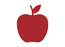 Icon of apple