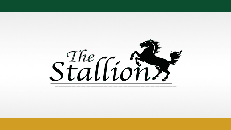 The Stallion logo